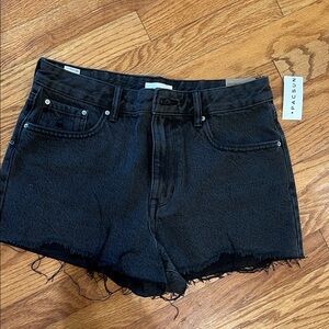 PacSun High Rise Festival black Denim Women's Jean Shorts